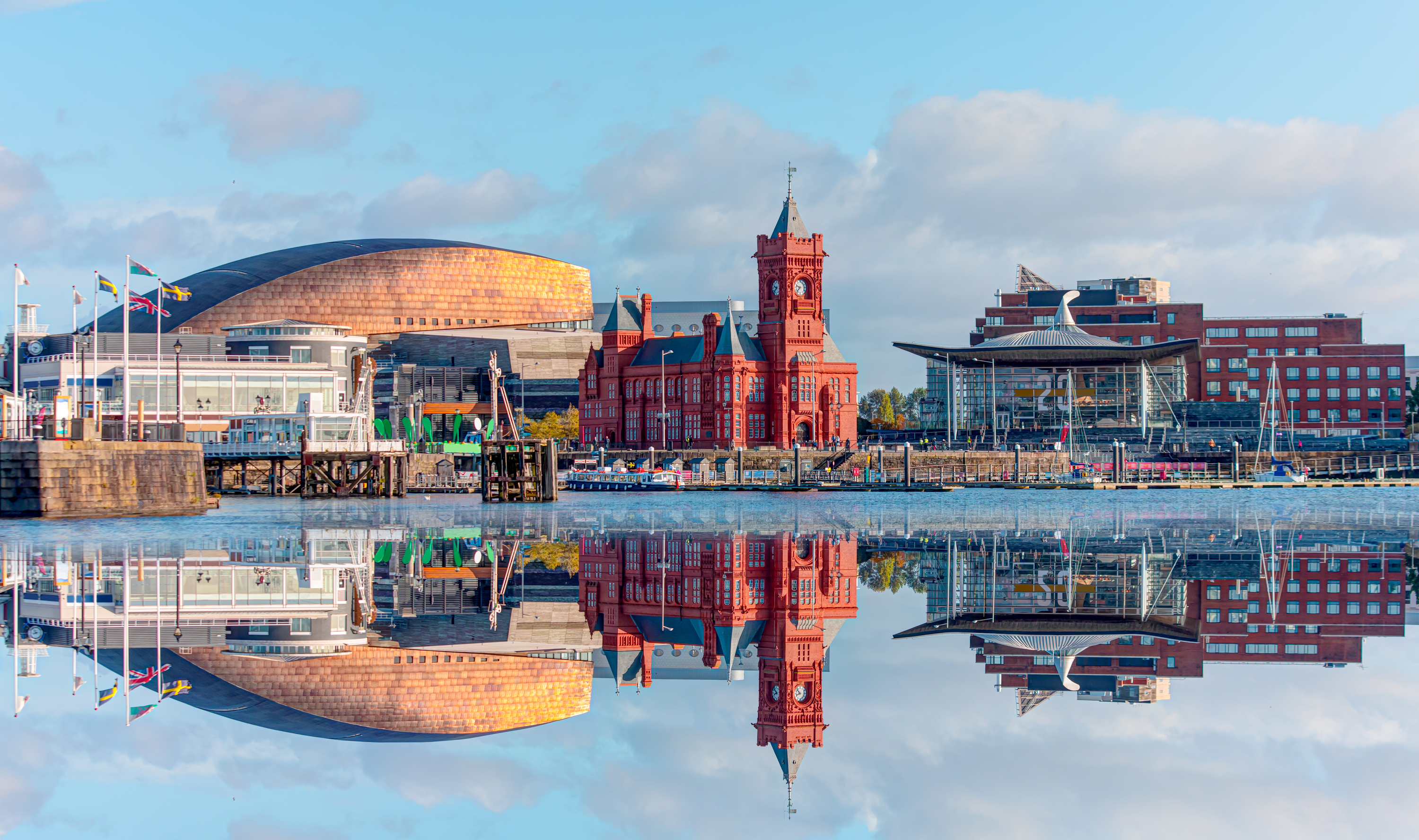 vms cardiff